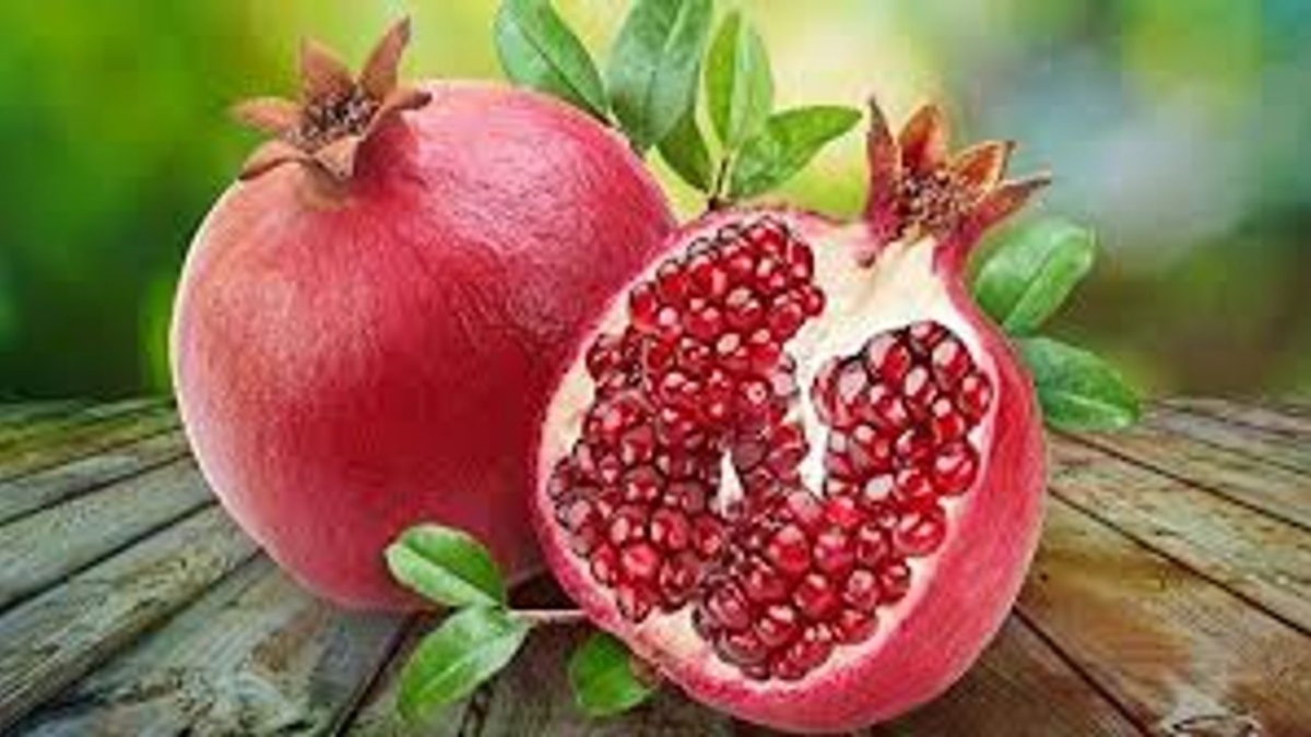 Nar ihracatı 2025’te 162,5 milyon doları aştı