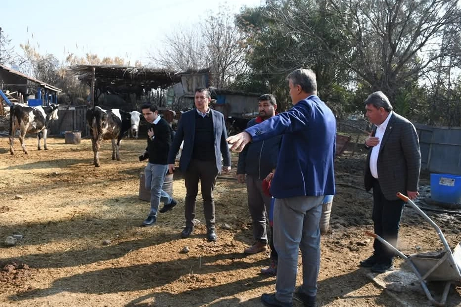 CHP'li Gaytancıoğlu'ndan et ithalatına sert eleştiri