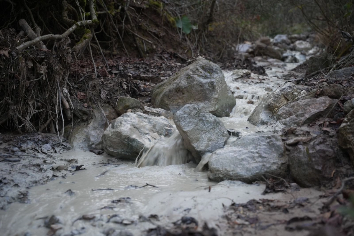 Yenişehir Kirazlıyayla'da binlerce ton kimyasal doğaya karıştı!