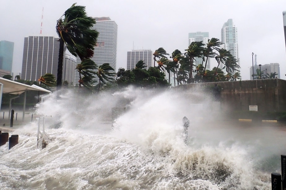 Doğal afetler sigorta sektörünü zorluyor... Küresel ekonomik kayıplar 260 milyar dolar oldu