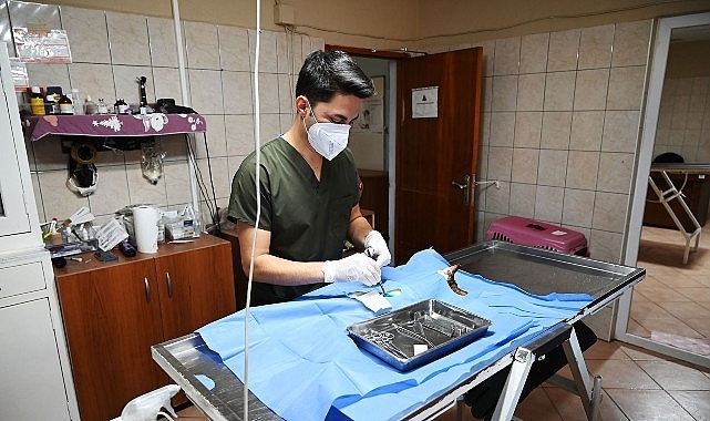 Kemer Belediyesi “Can dostlarına” sahip çıkıyor 