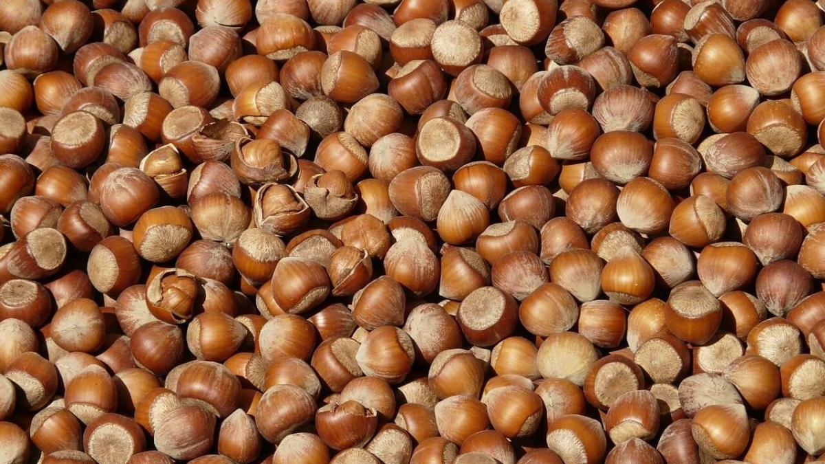 Doğu Karadeniz’in ocak ayı ihracatı 125,5 milyon doları geçti