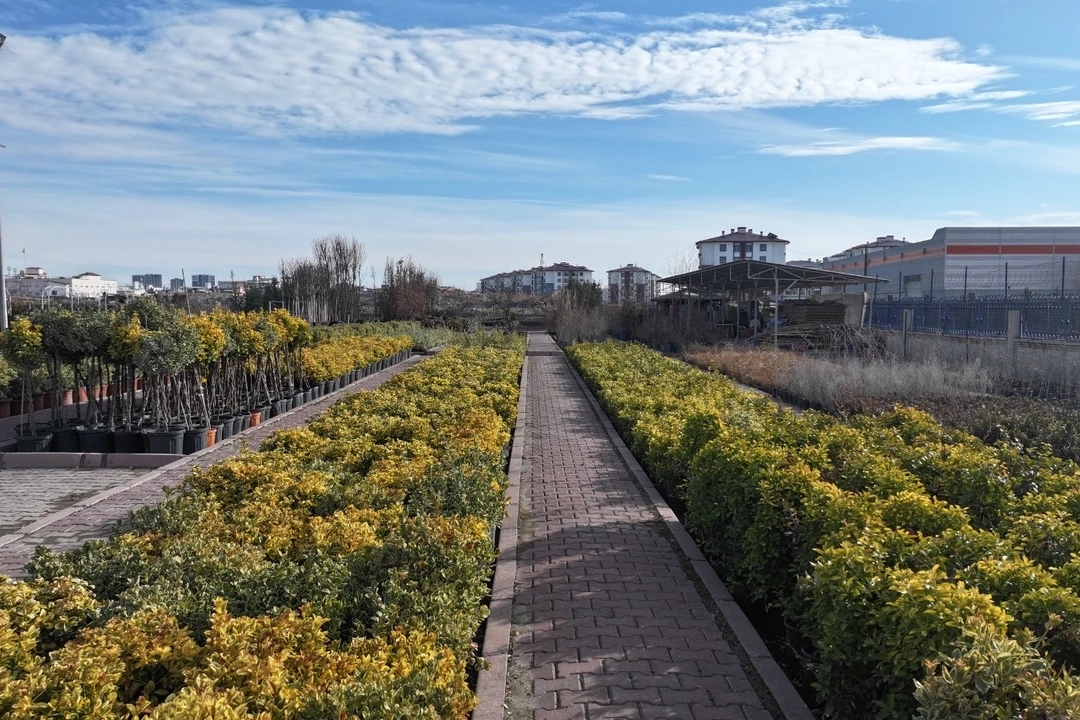 En büyük lojistik üssü fidanlığı Kayseri Kocasinan'da