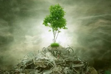 ÇED 'gerekli değil' kararı kaldırıldı! Yönetmelikle süreçler değişti