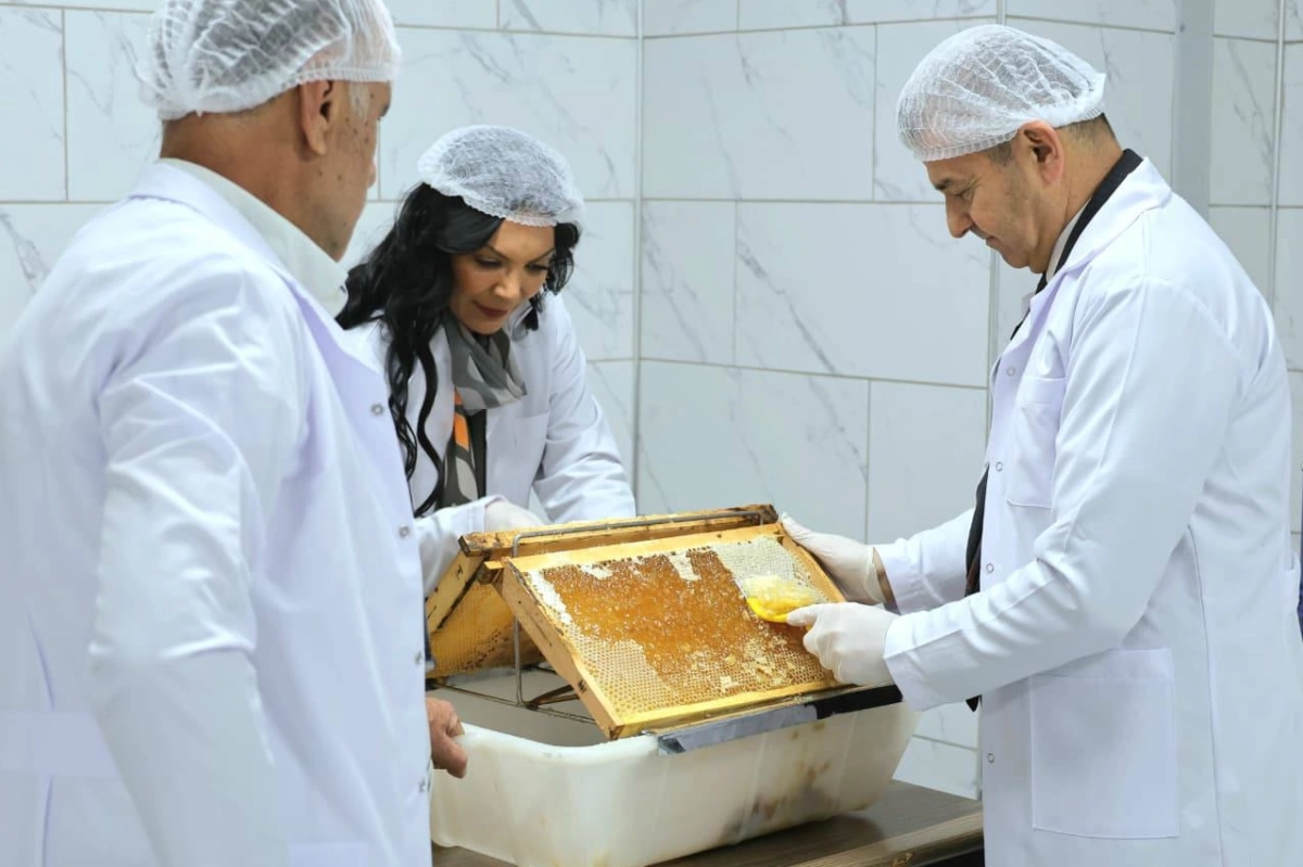 Artvin 'Bal Çalıştayı'na hazırlanıyor