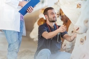 Denizli Büyükşehir’den üreticiye sahada destek