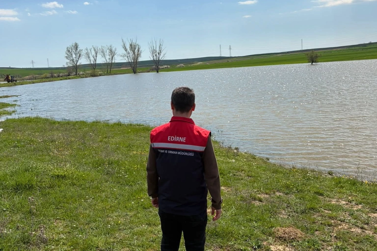 İç sularda av yasağı devrede: Sazan ve Yayın balığına 3 ay dokunulmayacak