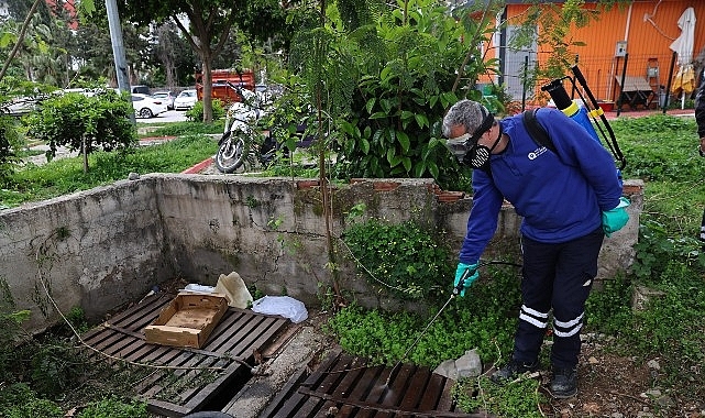 Büyükşehir’den sinek üreme alanlarında yoğun çalışma 
