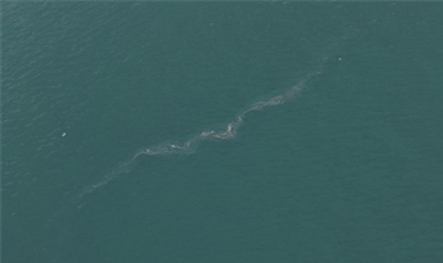 İzmir Körfezi’nde 13. dış kaynaklı kirlilik vakası