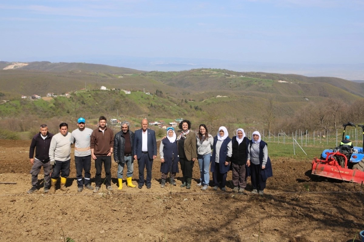 Nilüfer’de Böğürtlen Üretimi İçin 400 Fidan Toprakla Buluştu