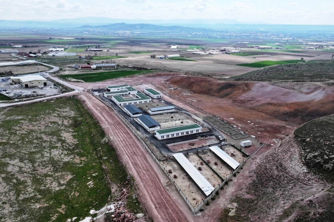 Kocasinan’dan Sokak Hayvanları İçin Örnek Proje