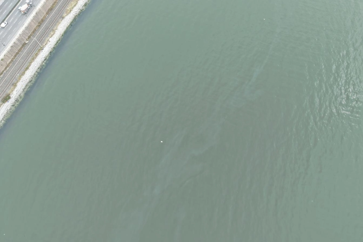 İzmir Körfezi’nde kirlilik endişelendiriyor! Aynı tehdit 11. kez görüldü