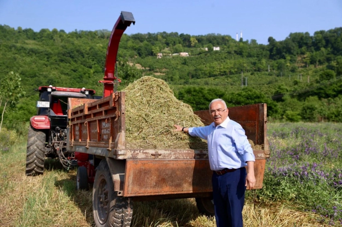 Ordu’da atıl arazi tarıma kazandırıldı