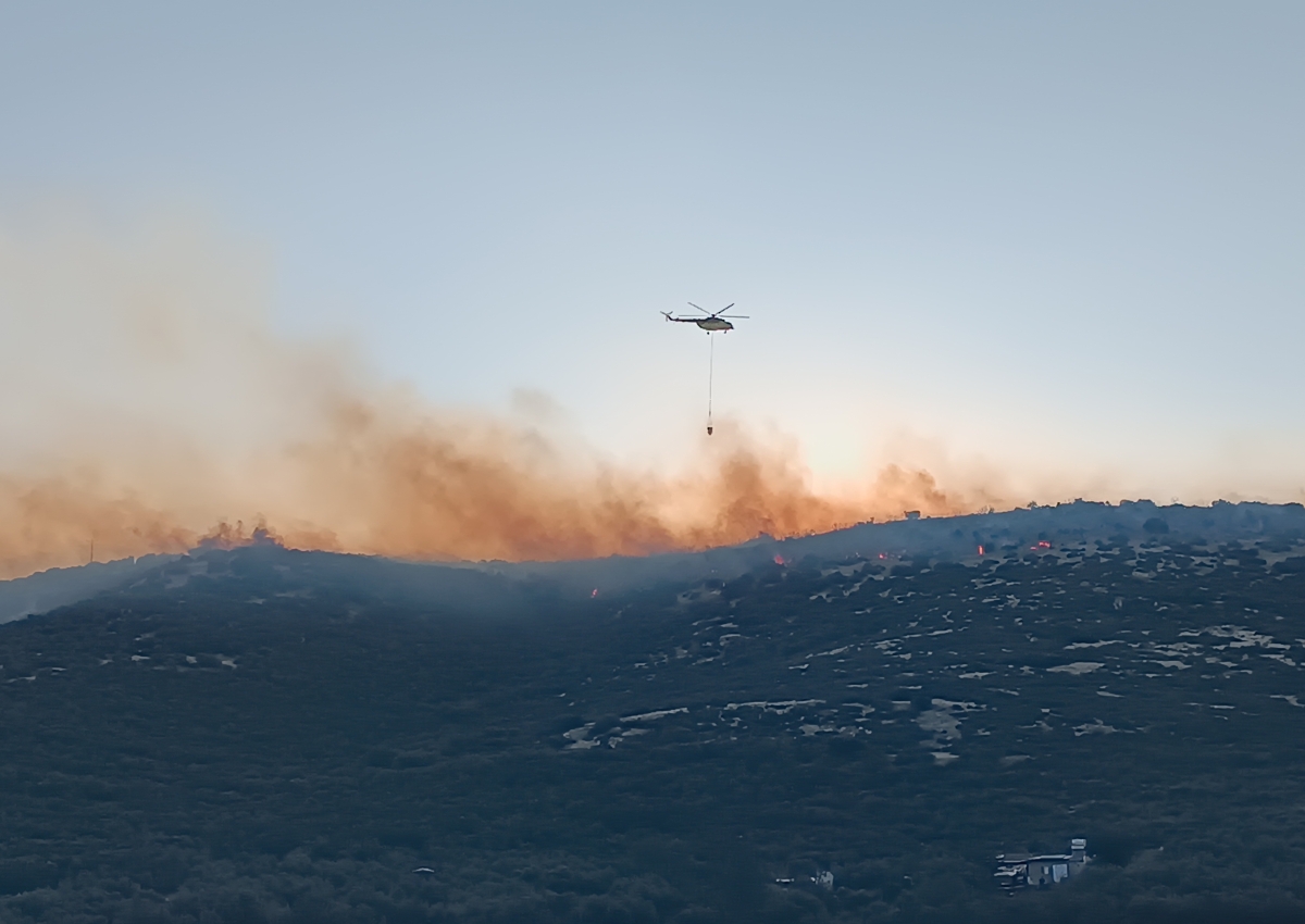 İzmir'de orman yangını. Havadan ve karadan müdahale ediliyor