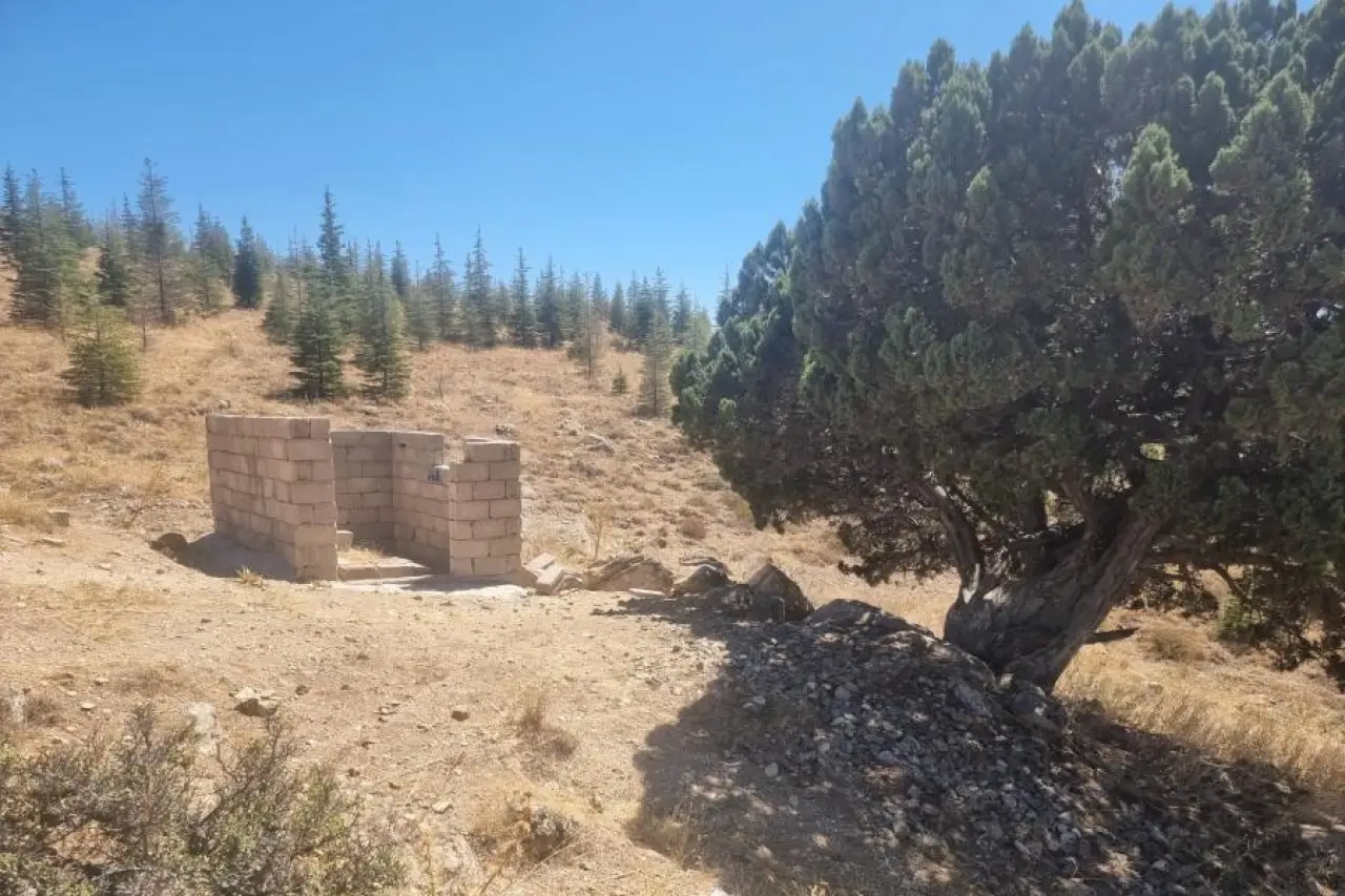 Kaçak yapı yıkılacak ve kutsal ardıç ağacı korunacak