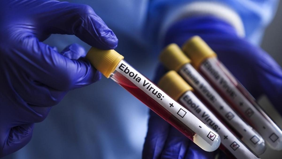 Ebola salgınında korkutan bilanço! 3 bin 267 kişi hayatını kaybetti