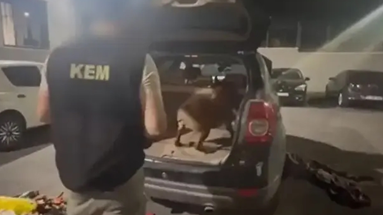 Kocaeli’de uyuşturucu operasyonunda 6 tutuklama