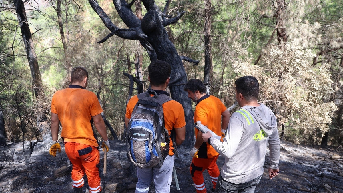 Kozan’da yanan 5 bin 903 hektarlık alanda yeniden Yeşil Vatan mesaisi