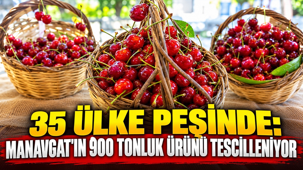 35 ülke peşinde: Manavgat'ın 900 tonluk ürünü tescilleniyor