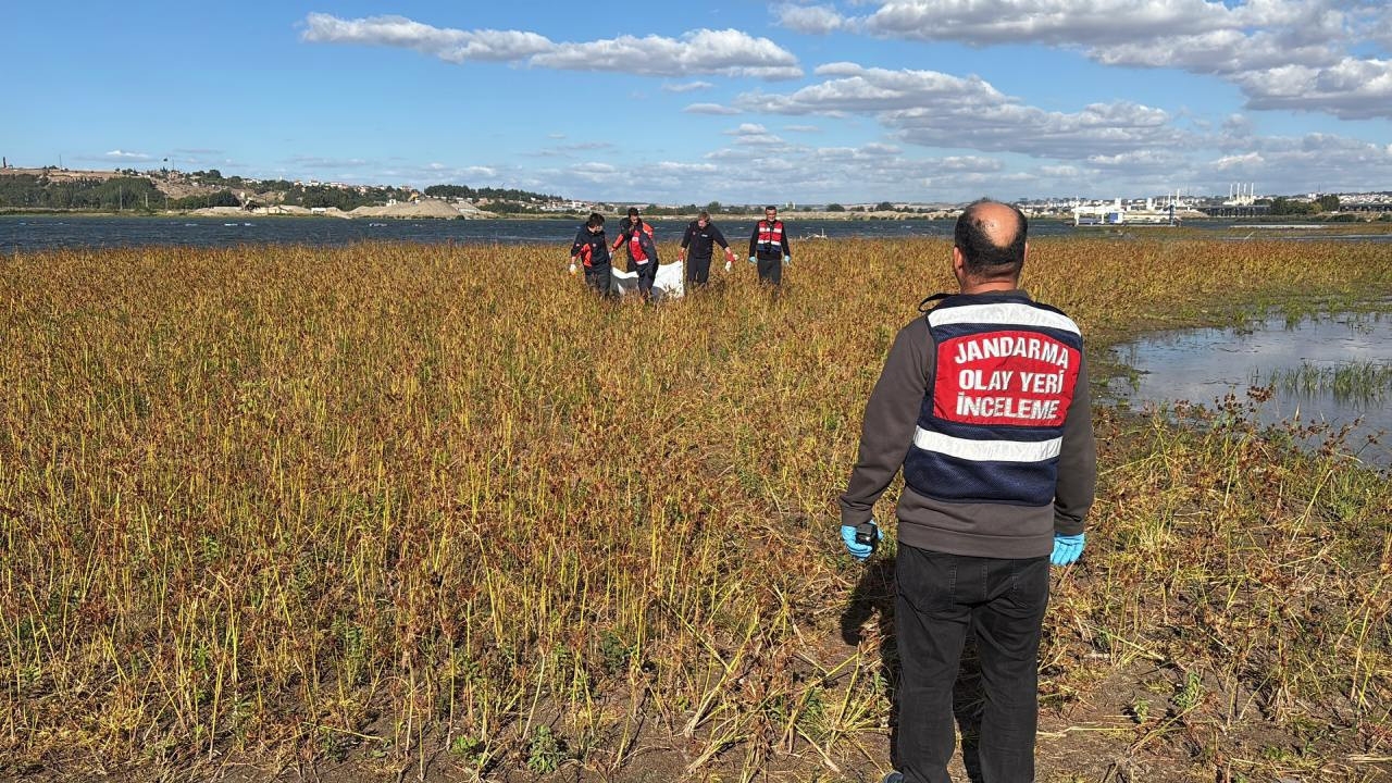 Meriç Nehri’nde cansız beden bulundu: Kimliği henüz bilinmiyor
