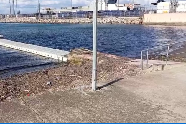Yalova açıklarında deniz yüzeyi kırmızıya boyandı