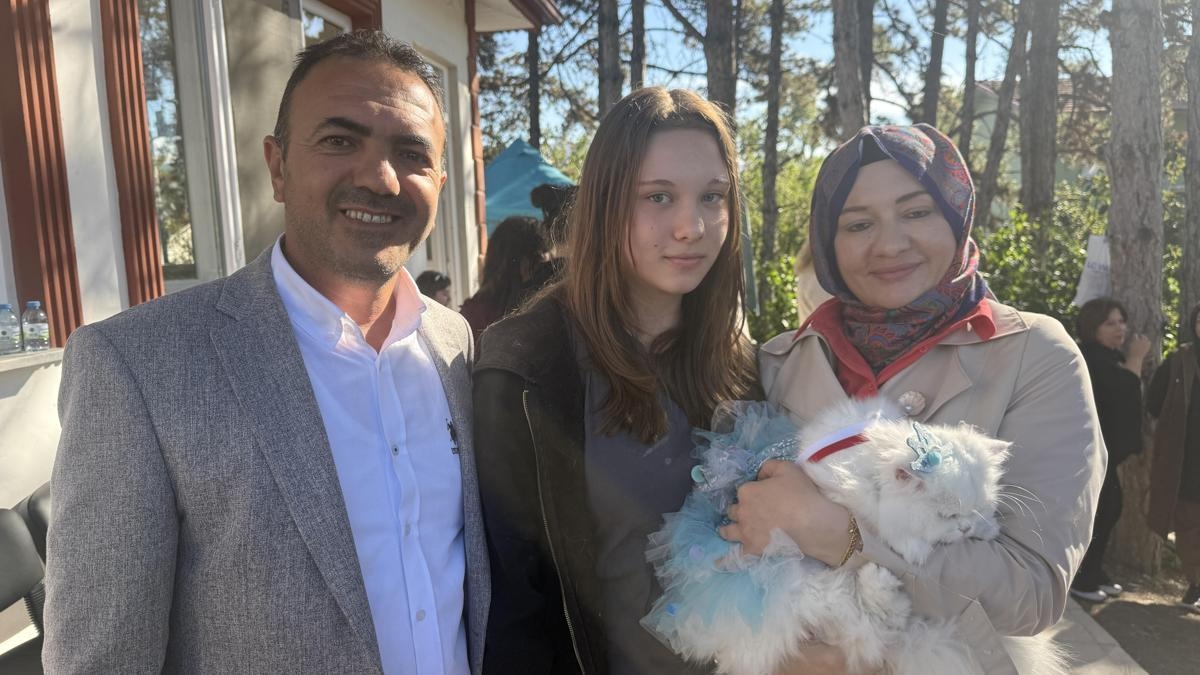 Tokat'ta kediler güzellik yarışmasında podyuma çıktı