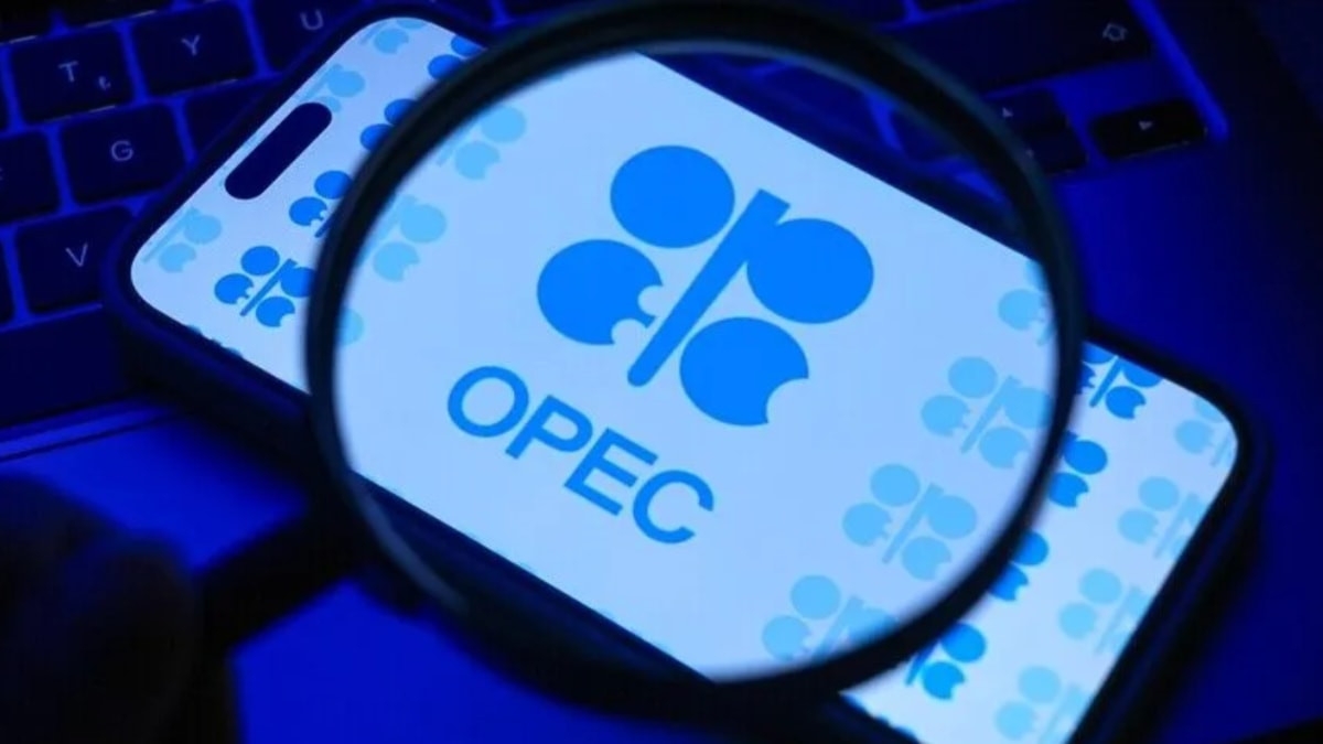 OPEC+ petrolde frene basıyor