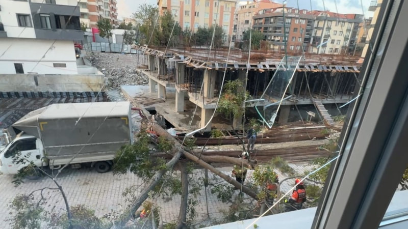 İstanbul'da devrilen ağacın altında kalmaktan kıl payı kurtuldu