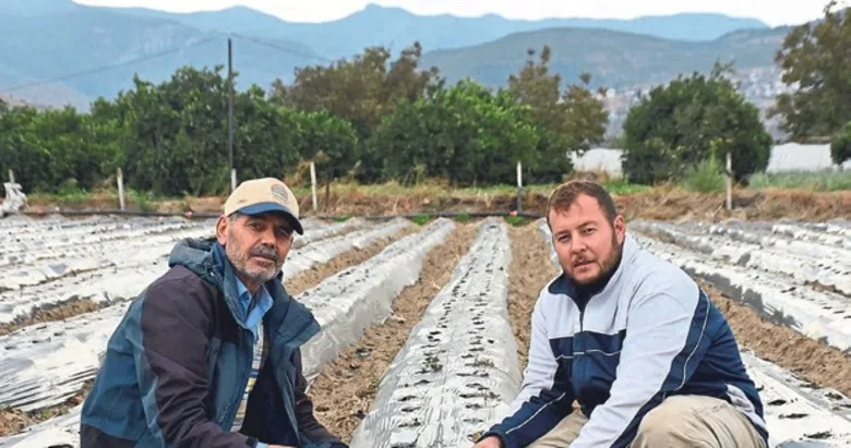 Baba-oğul, ata toprağında organik tarım yapıyor
