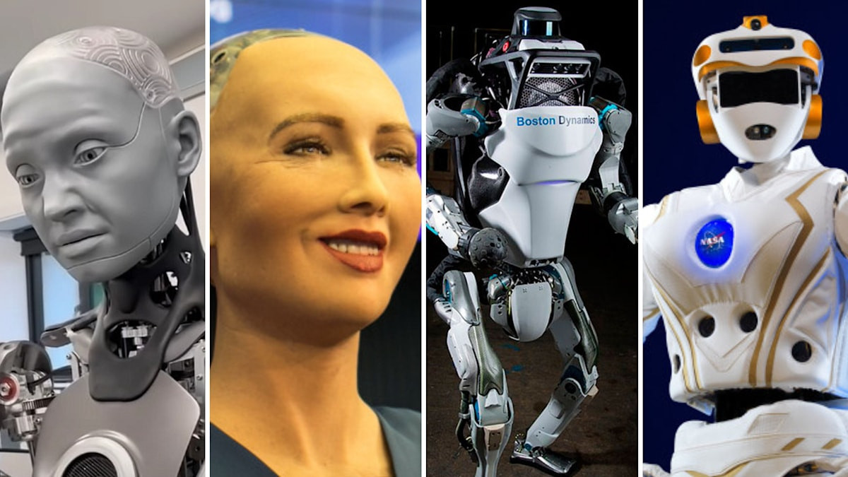 2025'te dünya genelinde satılan insansı robot sayısı belli oldu