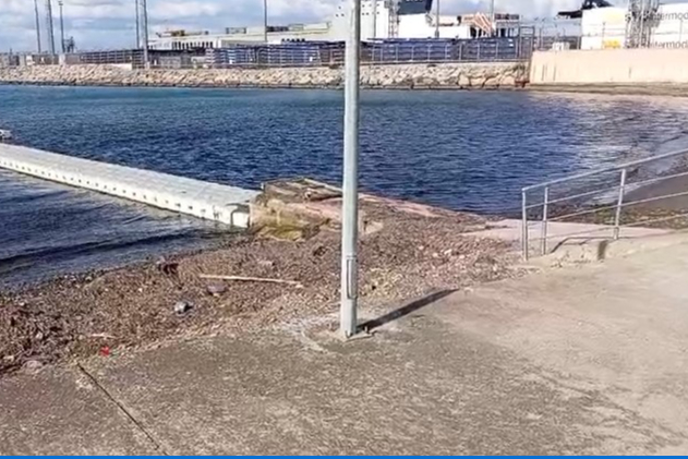 Yalova açıklarında deniz yüzeyi kırmızıya boyandı