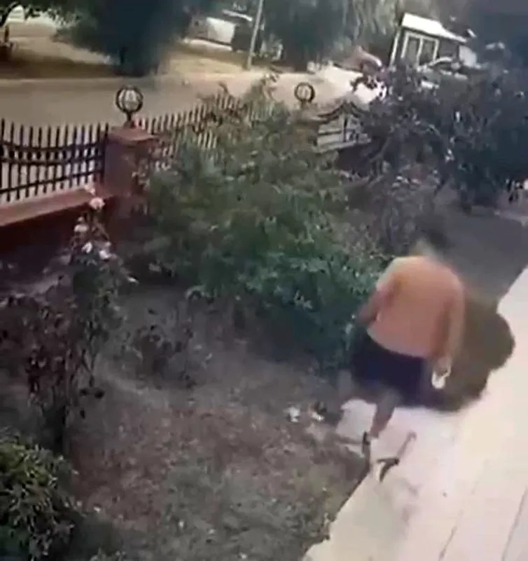 İzmir’de vicdanları sızlatan anlar! Köpeğini gezdiren şahıstan yavrulu kediye tekme