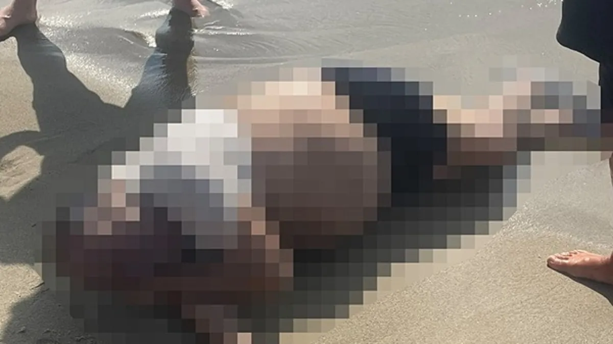 Yattan denize düşmüştü! İş insanı Rıza Muslu'nun cesedi sahilde vurdu