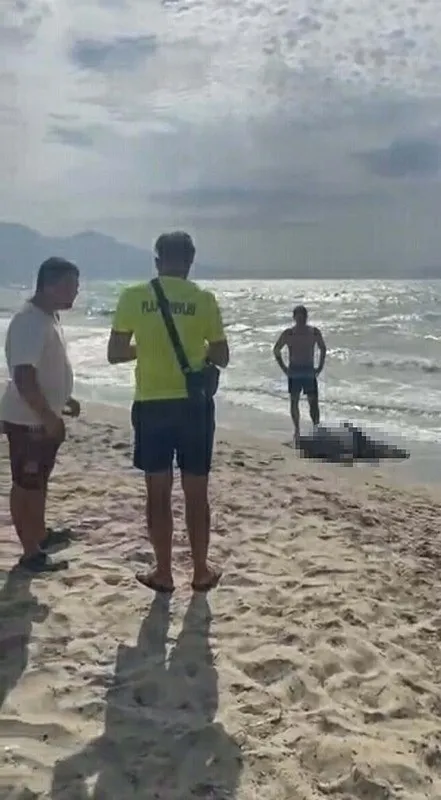 Yattan denize düşmüştü! İş insanı Rıza Muslu'nun cesedi sahilde vurdu