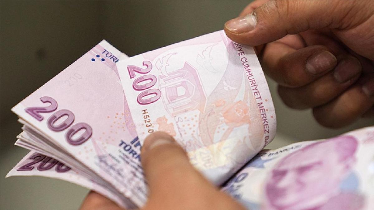 Yılbaşından bu yana 17 milyarlık SED ödemesi yapıldı
