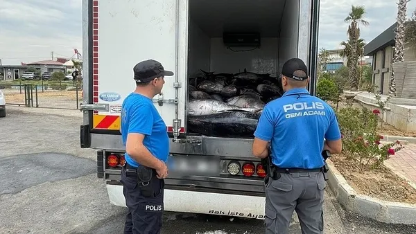 İzmir'de orkinos operasyonu: Piyasa değeri 500 bin TL!