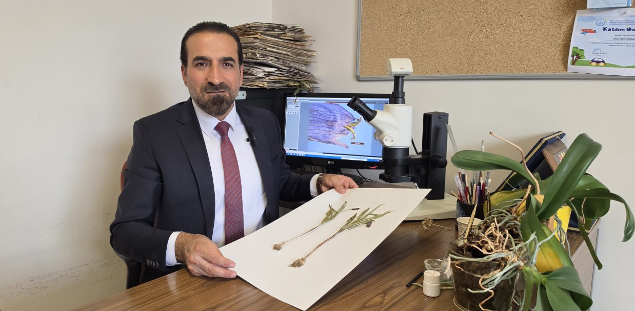 Dünyada sadece Muş’ta var! Yeni bitki türü keşfedildi