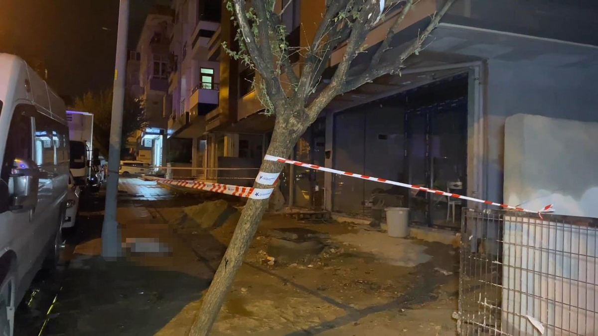 İstanbul'da elektrik akımına kapılan köpek öldü, sahibi yaralandı