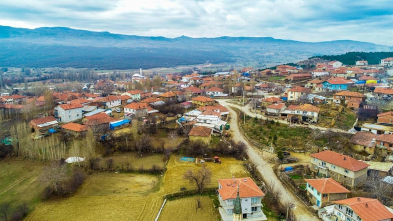 Yaşadığınız yere dikkat: Bu mahalleler beyni küçültüyor