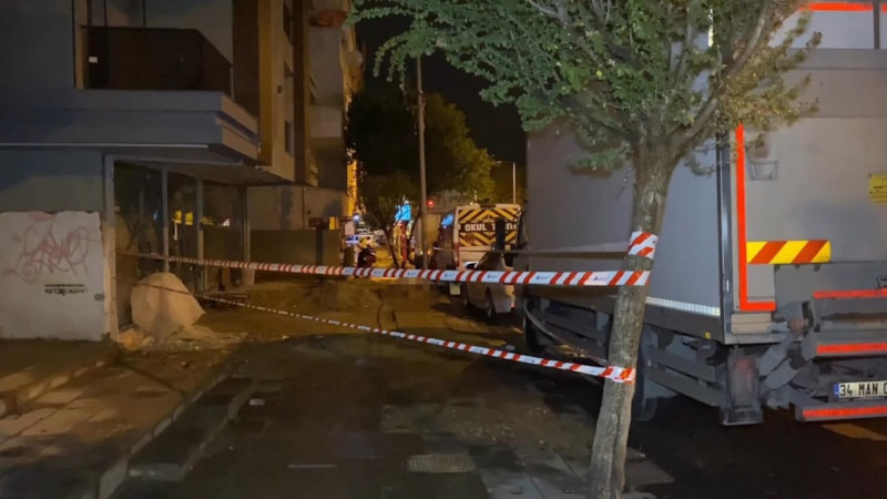 İstanbul'da elektrik akımına kapılan köpek öldü, sahibi yaralandı