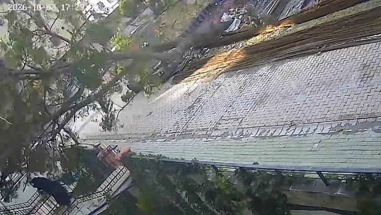 Avcılar’da binaya girmek üzereydi, devrilen ağacın altında kalmaktan son anda kurtuldu