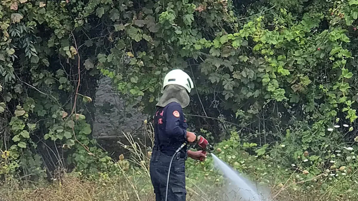 Muğla'da faciadan dönüldü!
