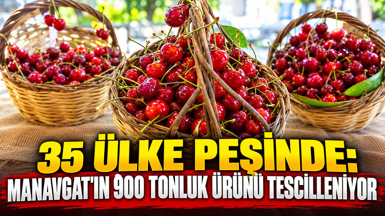 35 ülke peşinde: Manavgat'ın 900 tonluk ürünü tescilleniyor