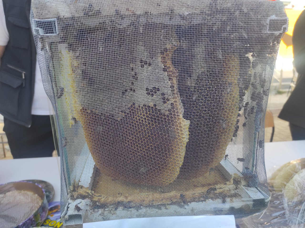 Fiyatı altınla yarışıyor: 1 kilogramı 400 bin lira