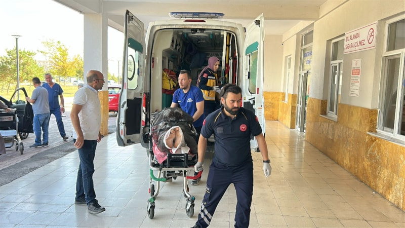 Sivas'ta ayı saldırısına uğrayan adam ağır yaralandı