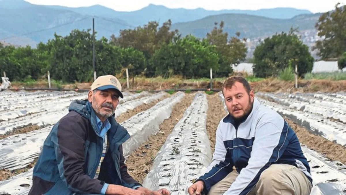 Baba-oğul, ata toprağında organik tarım yapıyor