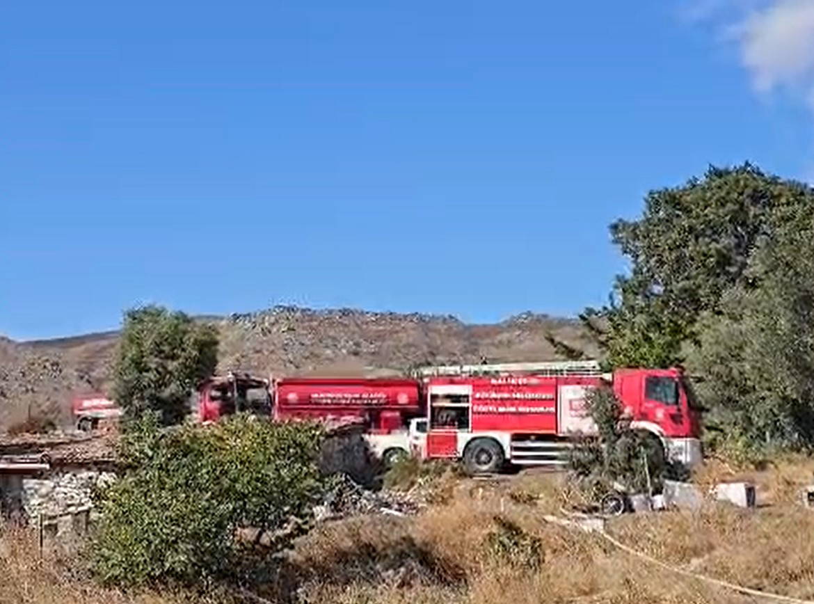 Marmara Adası'nda korkutan yangın