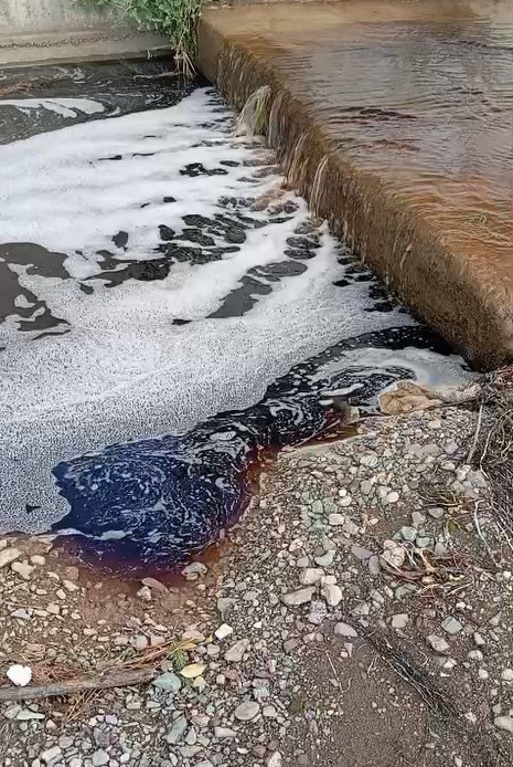 Görüntüler Yalova'dan: Deniz bir anda kırmızıya boyandı