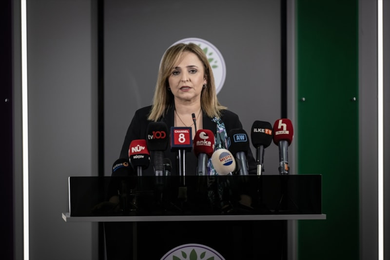DEM Partili Doğan: Silahsızlanmaya dair önemli gelişmeler bekliyoruz