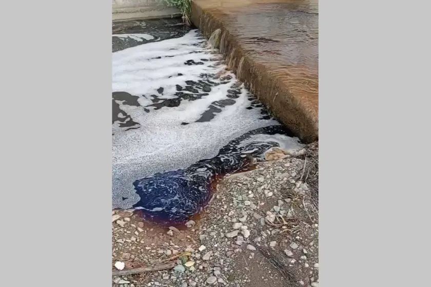 Yalova açıklarında deniz yüzeyi kırmızıya boyandı